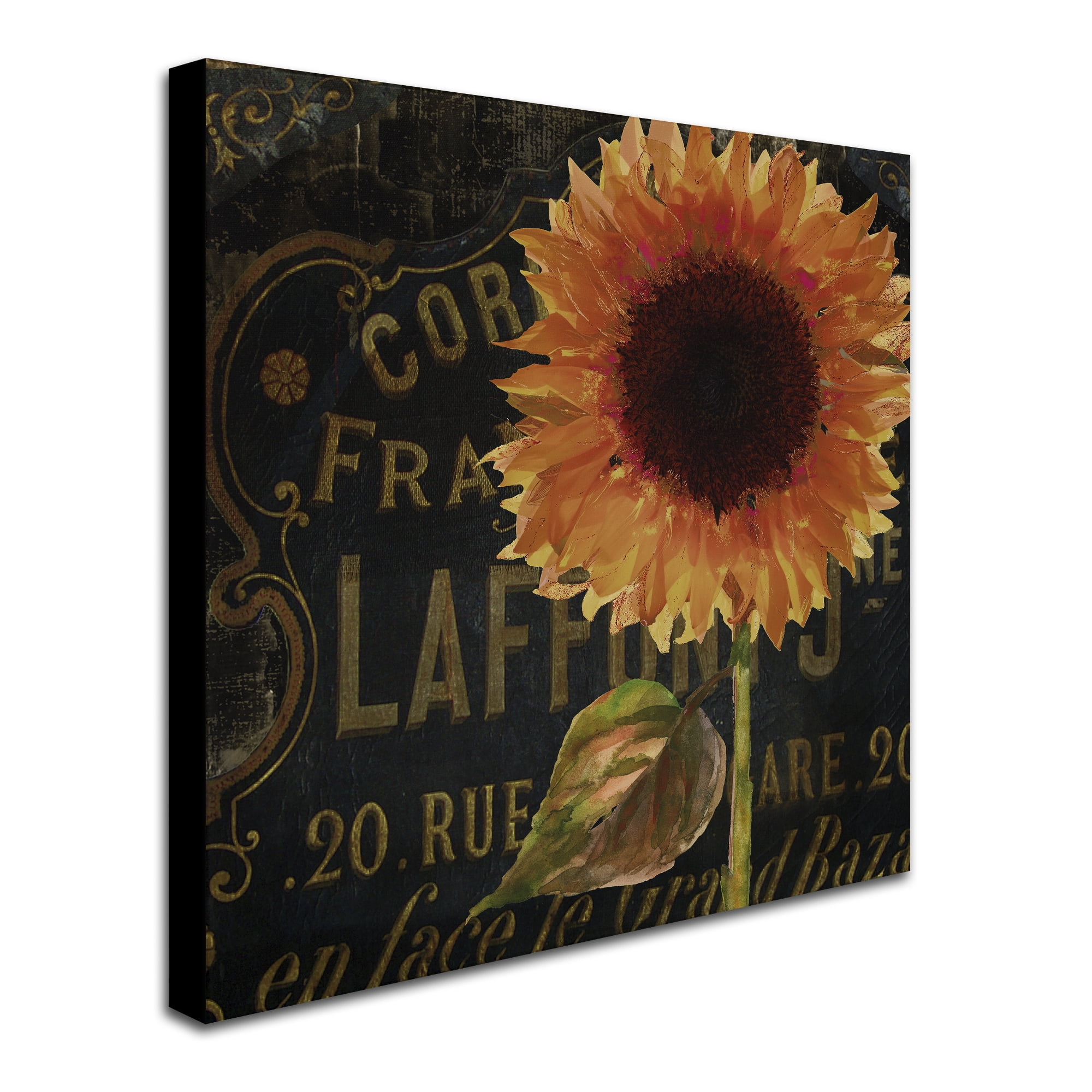 Trademark Fine Art "Sunflower Salon II" Canvas Art by Color Bakery