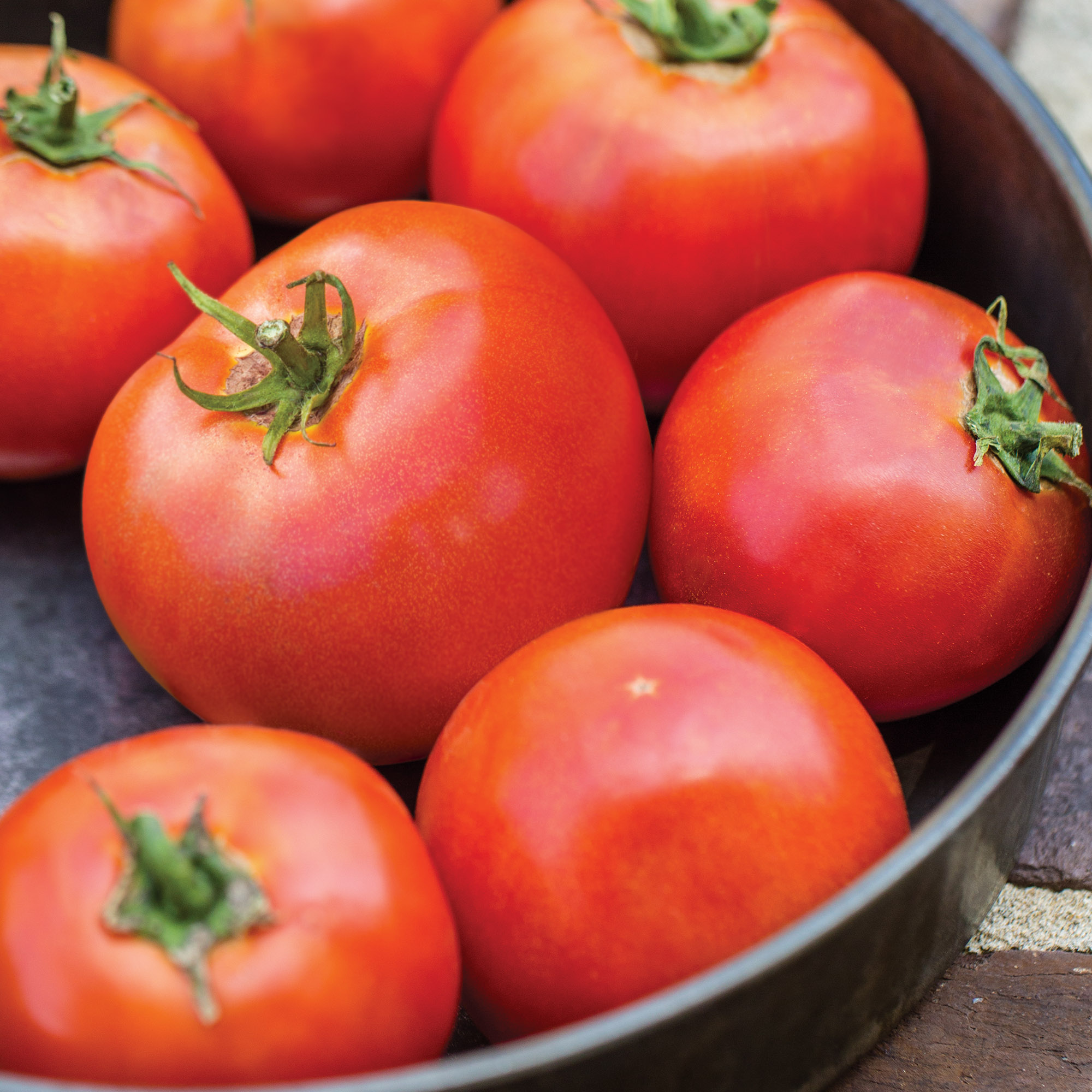 Burpee Crimson King Tomato Vegetable Seed, 1-Pack