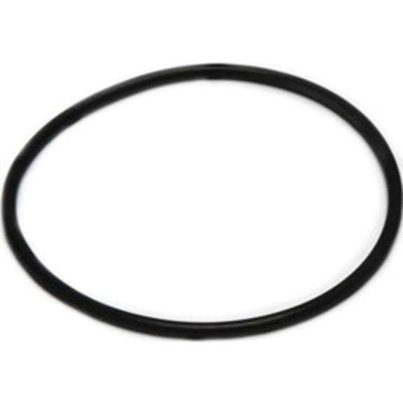 Ametek O-Ring No. 151121-03 Or-38 Bagged