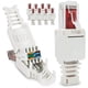 thumbnail image 2 of 30 UNIDS Herramienta de Enchufe de Red Libre RJ45 CAT6 LAN UTP Cable Plug Sin Herramientas de Instalación CAT5 CAT7 Cable Patch Herramienta de Cable, 2 of 5