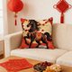 thumbnail image 3 of Estándares de Almohada Tamaño Estándar Algodón, 17.7x17.7 Pulgadas Cubiertas de Almohada Decorativas con Tela Suave, Estándares de Almohada con Cremallera Tamaño Estándar, Cremallera Oculta para la De, 3 of 7