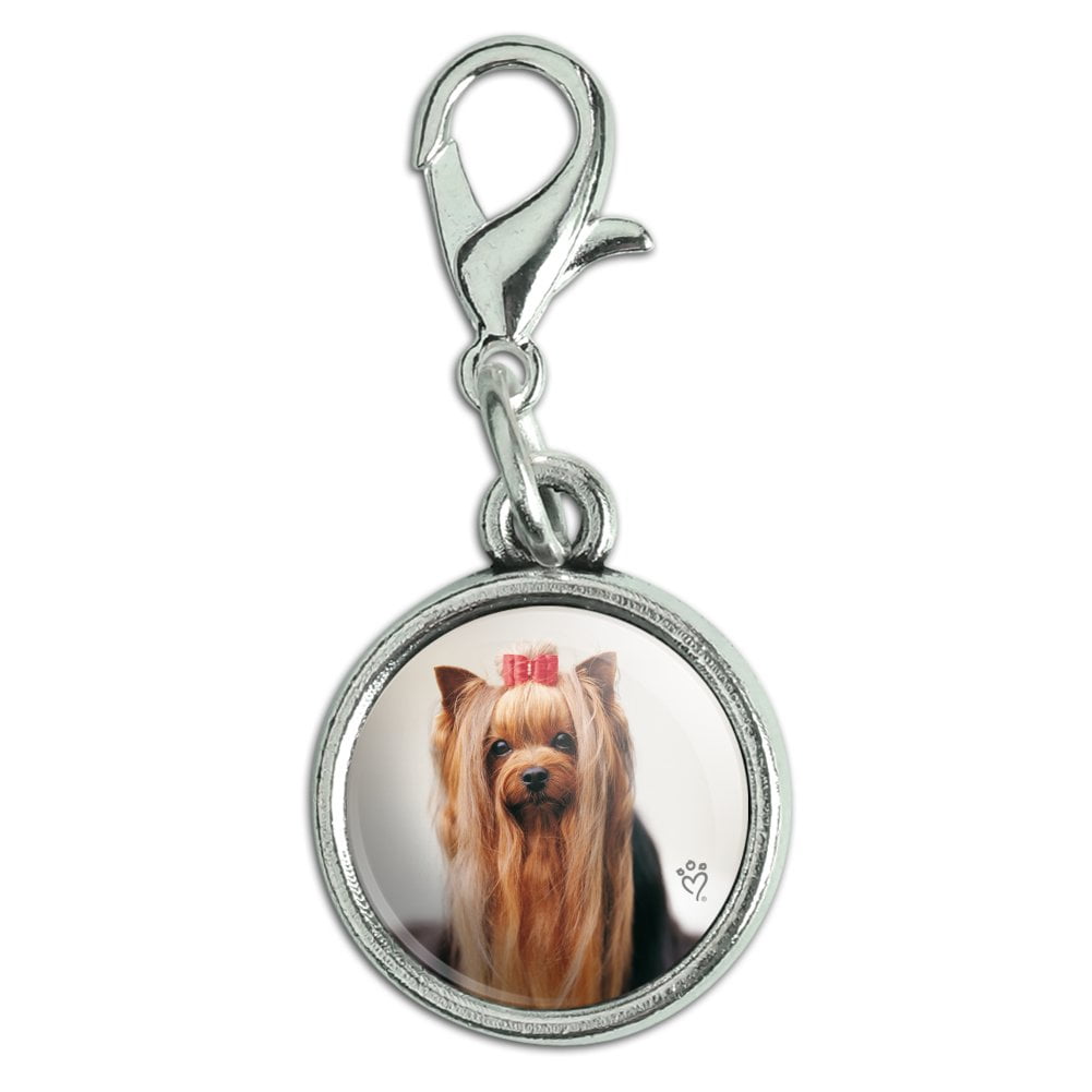 yorkie bracelet