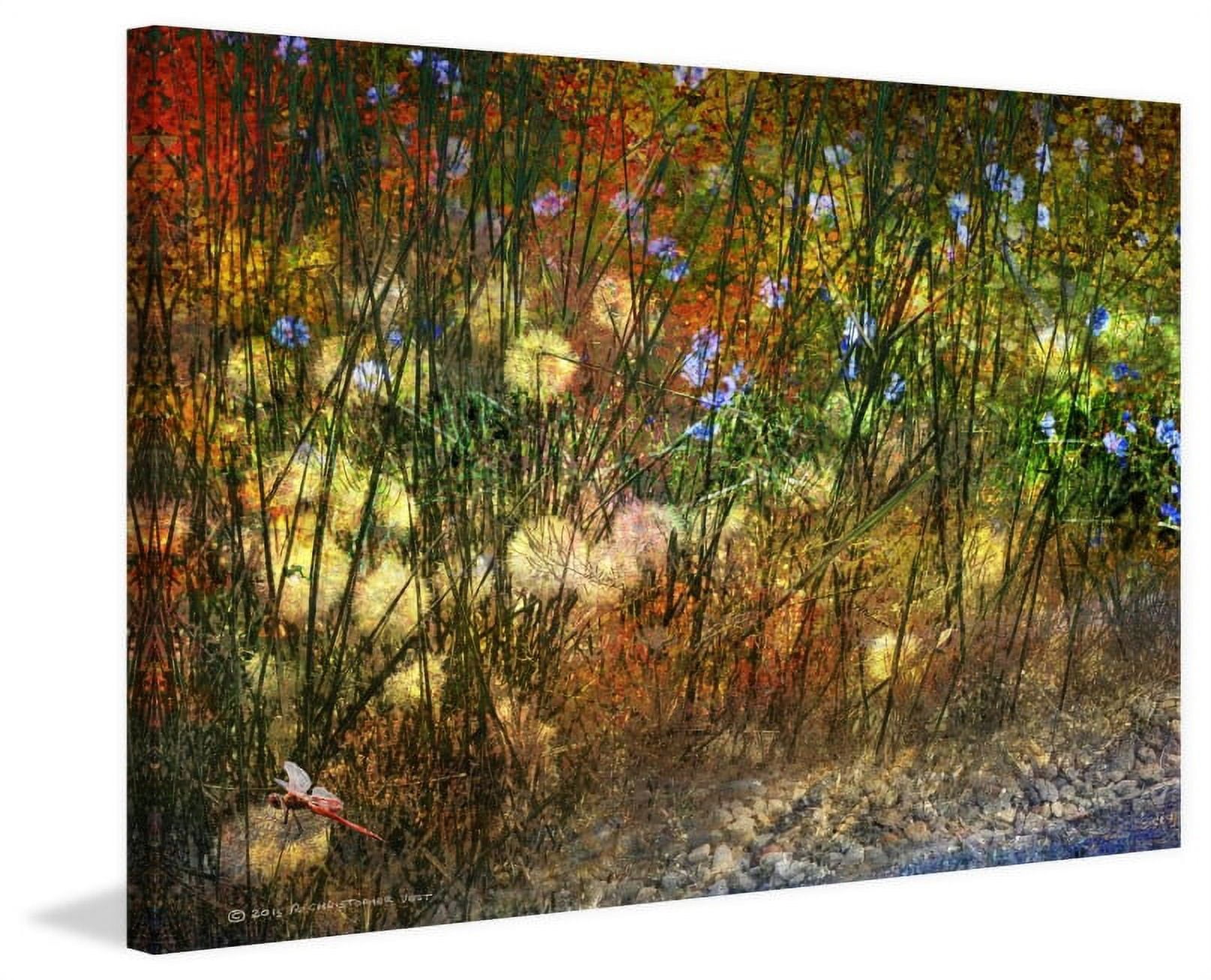 Marmont Hill 'Meadow Dragon Fly' by Chris Vest Painting Print on Wrapped Canvas