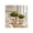 Orange, variant on Decorative Hand Painted Planter for Home Decor - Stylish Flower Pots for Indoor and Outdoor Decor Spaces - Elegant Living Room Plant Pots, Plant Stand Indoor, or Pots for Plants - 6", White & Green