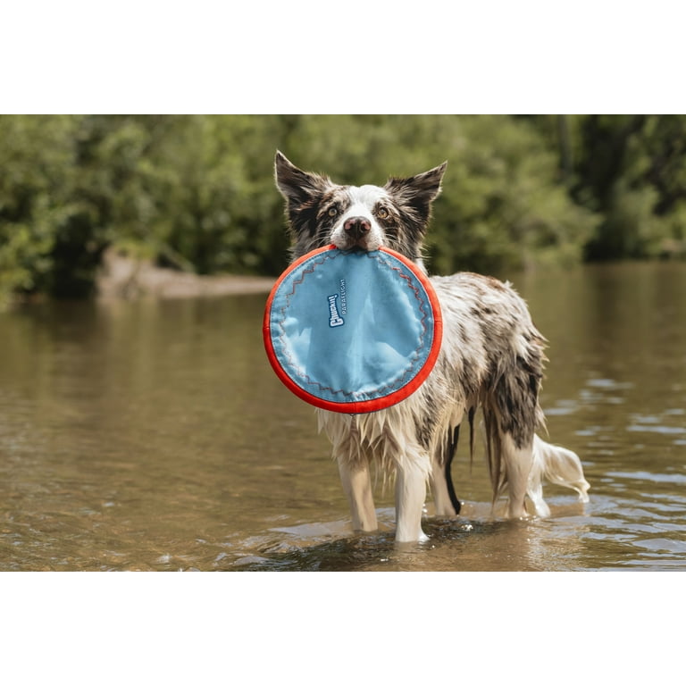 4 pack) Chuckit! Paraflight Flying Disc Nylon Frisbee Dog Toy for