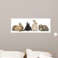 thumbnail image 1 of Four Bunny Rabbits Wall Decal Wallmonkeys Peel and Stick Animal Graphics (36 in W x 13 in H) WM256523, 1 of 4