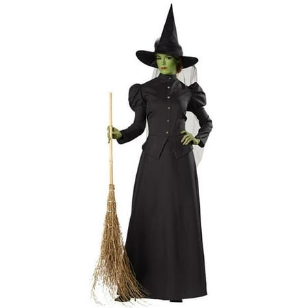 Morris Costumes MR147619SM Witch Classic Deluxe Adult Sm