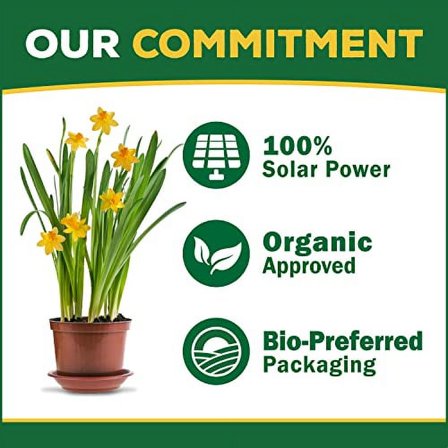 Espoma Organic Rose-Tone 4-3-2 Organic Fertilizer for All Types of Roses and Other Flowering Plants. Promotes Vigorous Green Growth and Abundant Blooms. 4 lb. Bag - Pack of 2