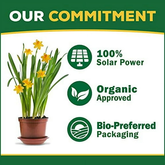 Espoma Organic Rose-Tone 4-3-2 Organic Fertilizer for All Types of Roses and Other Flowering Plants. Promotes Vigorous Green Growth and Abundant Blooms. 4 lb. Bag - Pack of 2