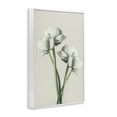 thumbnail image 4 of Stupell Industries White Flower Bundle Botanical & Floral Photography White Framed Art Print Wall Art, 12 x 18, 4 of 10