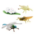 thumbnail image 2 of Figuras de animales Montessori Macarena Ciclo vital, 2 of 8