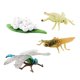 thumbnail image 2 of Simulación de etapa de , juguetes, figuras de animales, juguetes, juego de interacción, material didáctico, regalos de educación temprana, Estilo C Hugo Ciclo vital, 2 of 10