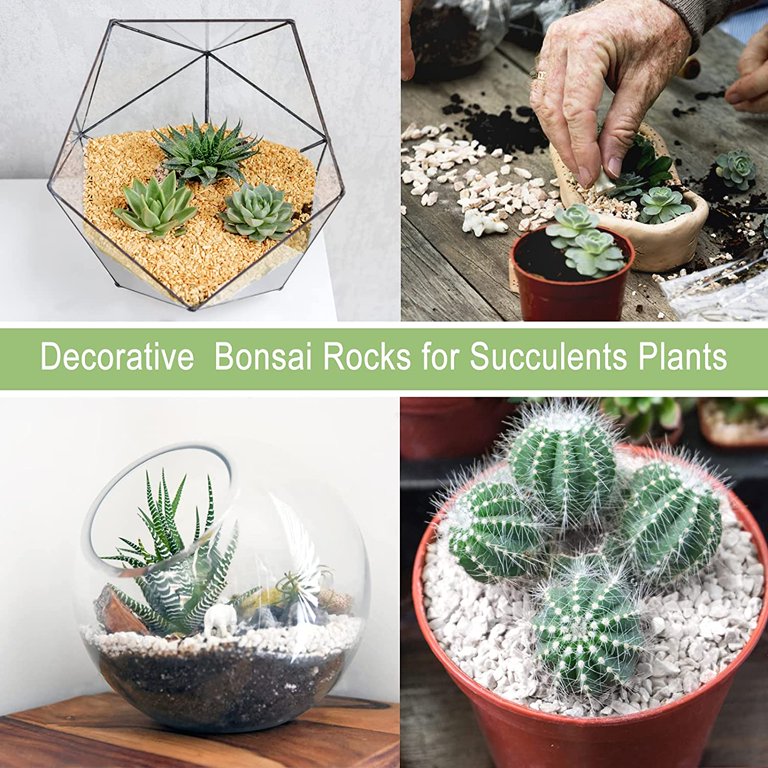 Galashield 2LBS Bonsai Cactus Soil Potting Mix with Decorative Rocks and  Aquarium Pebbles - Walmart.com