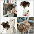 thumbnail image 6 of 2PCS Ostrich Feather Duster 16 Inch Fluffy Natural with Wood Handle Reusable Washable for Cleaning Keyboard,Home,Car,Office Ostrich Feather Duster, 6 of 7