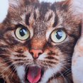 thumbnail image 2 of MODA AT HOME RIDEAU DE DOUCHE EN TISSU SELFIE CAT, 2 of 2