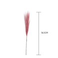 thumbnail image 4 of 5 Sticks Dried Pampas Grass Artificial Pompous Grass Branches Vase Filler For Home Living Room Kitchen Wedding Bohemian Dcor, 4 of 5