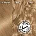 thumbnail image 5 of Garnier Olia Oil Powered Permanent Hair Color, 8.31 Medium Golden Blonde, 5 of 6
