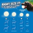 thumbnail image 4 of Chuckit! Max Glow Dog Ball Rubber Fetch Toy for Dogs, Small 2", for Breeds up to 20 lb, Pack of 1, White Glow in the Dark, 4 of 6