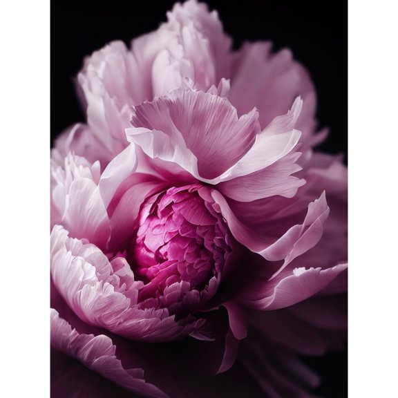 Pink Peony Blooming Petals Macro Photograph Unframed Wall Art Print Poster Home Decor