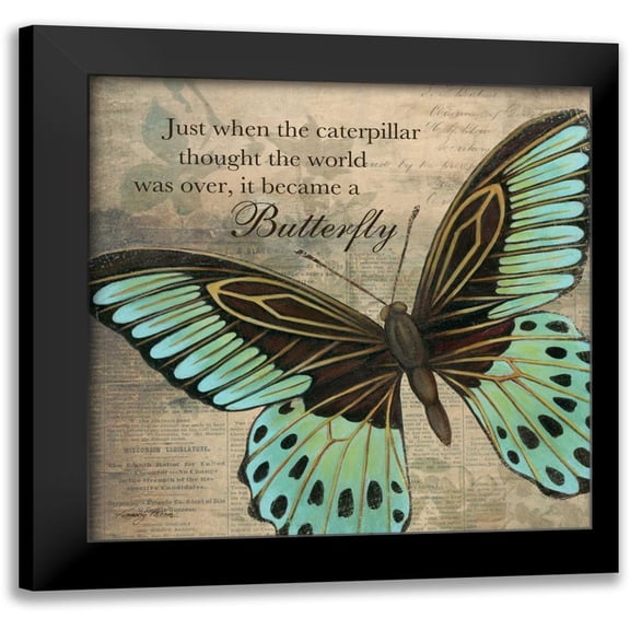 Poloson, Kimberly 12x12 Black Modern Framed Museum Art Print Titled - Butterfly II