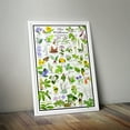 thumbnail image 4 of Ohio Wildflowers Poster - Native Woodland Blooms - Educational Science Chart of Ohio Flowers, 4 of 5