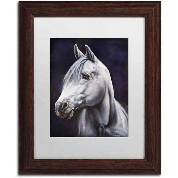 Trademark Fine Art 'White Arabian Stallion' Canvas Art by Jenny Newland, White Matte, Wood Frame