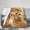 50x40, variant on Cheetah Mother and Cub Blanket Gift Tender Nature Home Decor Animal Bond Throw 50x40