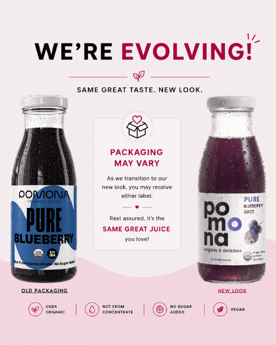 Pomona Organic Juices Blueberry Juice, 8.4 Oz Bottle (Pack of 12)