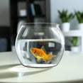thumbnail image 3 of 1Set Plastic Fish Tank for Goldfish and Small Turtles Easy Maintenance, 3 of 9