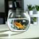 thumbnail image 2 of Pecera de plástico transparente, pequeño acuario, pequeña pecera, pecera para peces Betta, peces dorados, 2 of 5