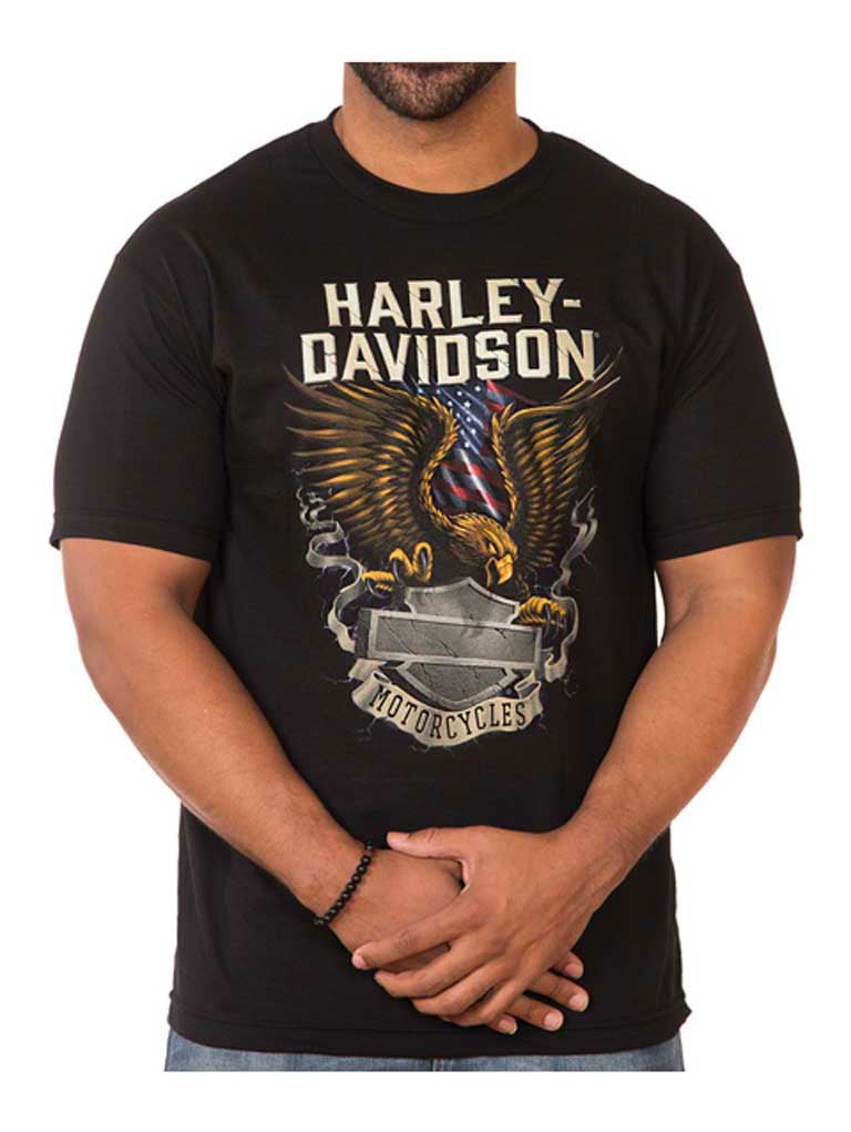 HarleyDavidson HarleyDavidson Men's Eagle Block B&S Short Sleeve