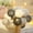 J-Gray, variant on 1.5m 3m LED Cotton Ball String Fairy Night Lights LED Bulb Bedroom Outdoor Holiday Party Ramadan Decoration Mother's Day Gifts