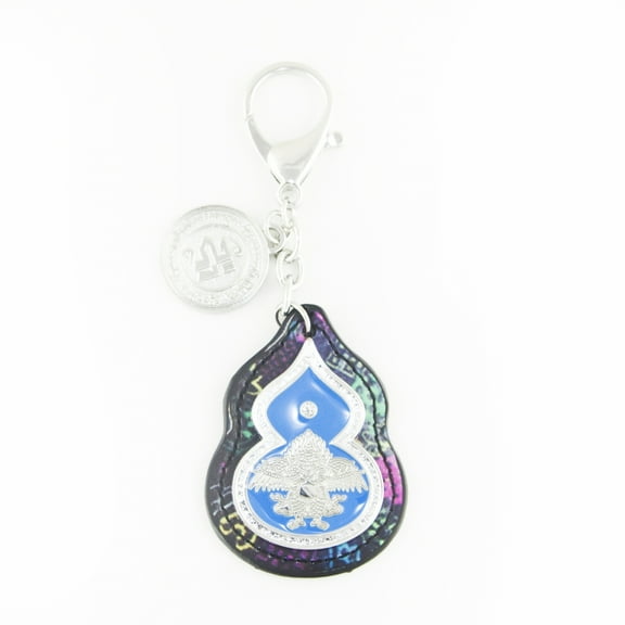 Feng Shui Anti-illness Amulet Keychain