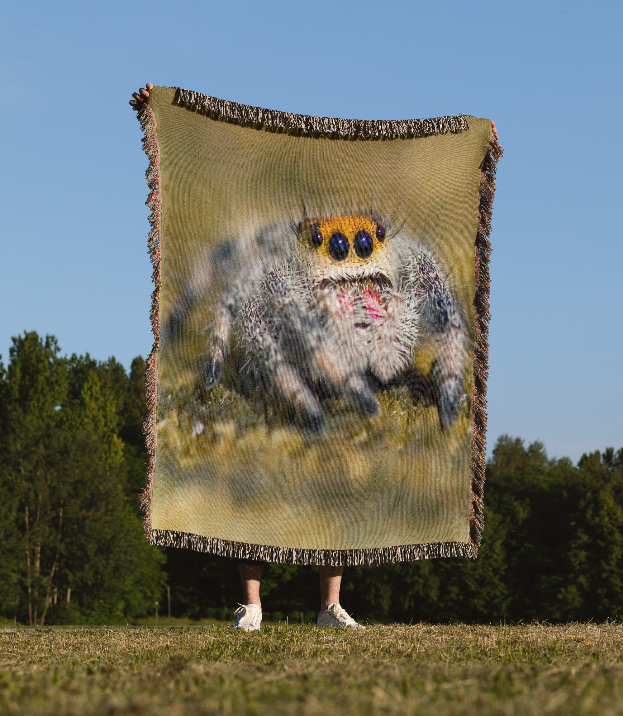Florida. Close-Up Of Jumping Spider - Us10 Bja0223 - Jaynes Gallery, Woven Blanket
