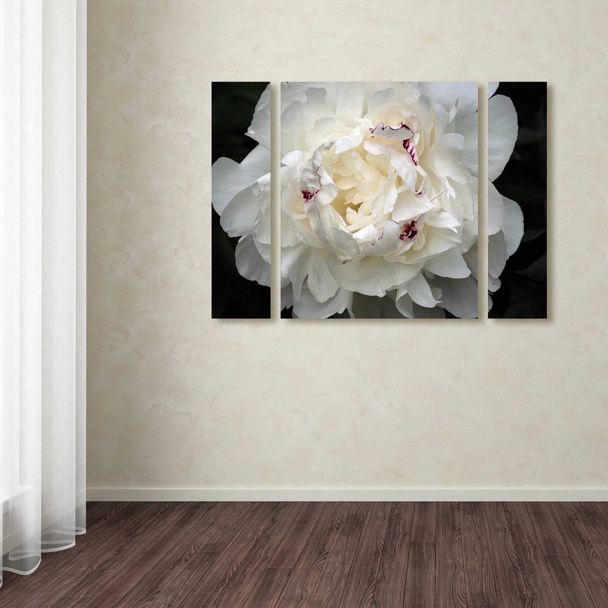 Kurt Shaffer "Perfect Peony" Multi Panel Art Set