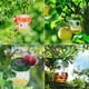 thumbnail image 2 of Paquete de 2 trampas solares colgantes para avispas y abejas carpinteras, 2 of 8