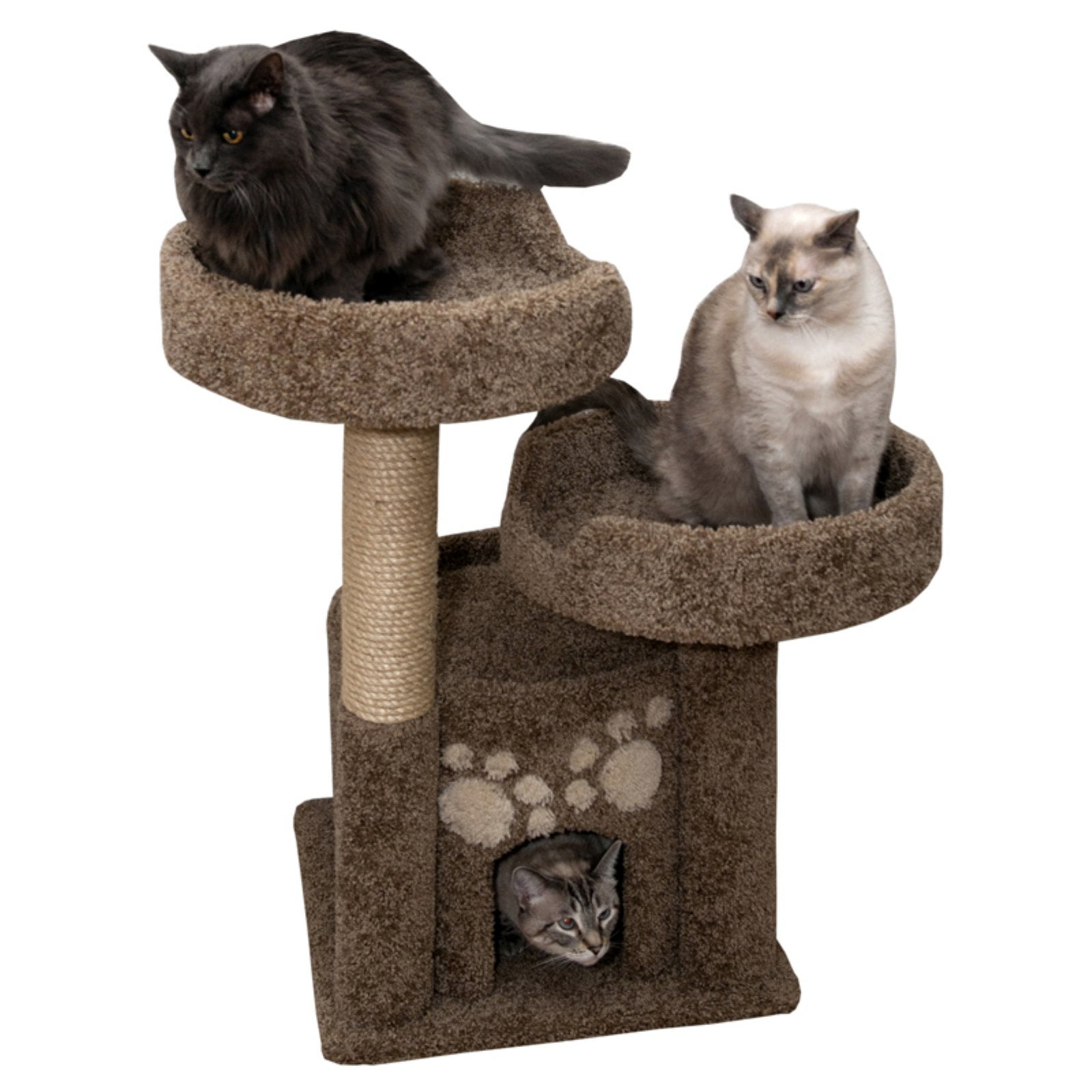 Cat Condo for windows instal free Cat Condo for windows instal free