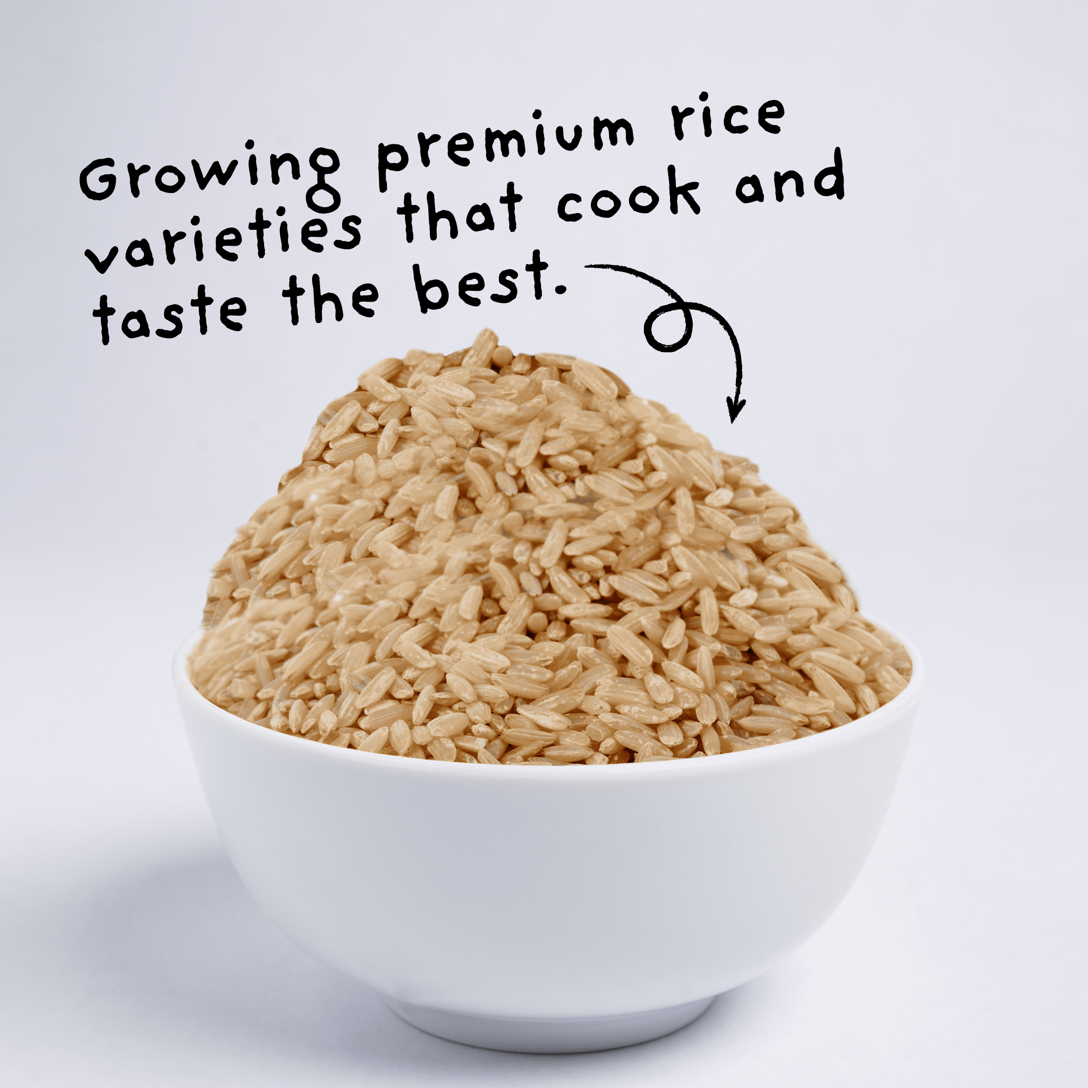 4Sisters Long Grain Organic Brown Rice, 32 oz