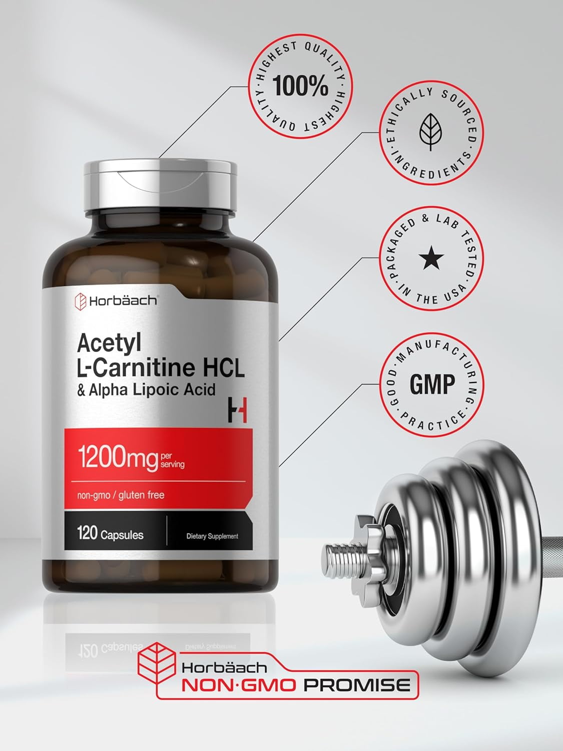 acetyl l carnitine hcl vs l carnitine Acetyl-L-Carnitine