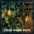 thumbnail image 6 of Luxrite 24FT LED Outdoor String Lights Commercial Grade Waterproof, 12 S14 Shatterproof Bulbs, IP65, Patio Garden Cafe, 6 of 7