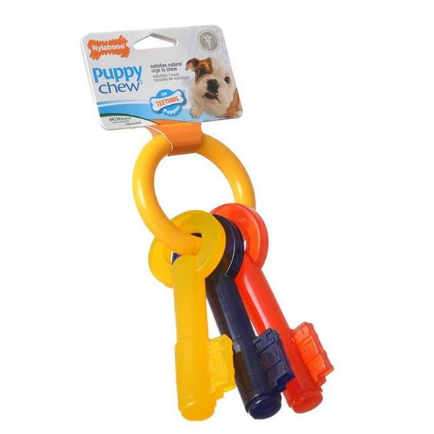 Nylabone N221P Puppy Chew Teething Keys Chew Toy, Large