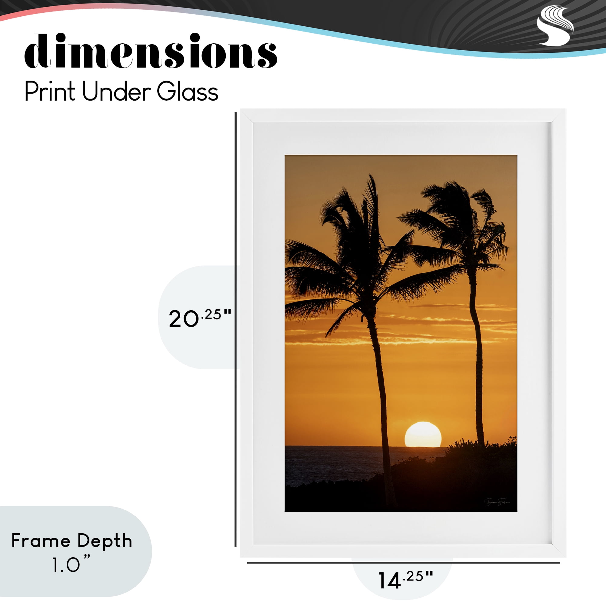 Stupell Industries Sunset Through Palm Trees White Framed Print Under Glass, design by Dennis Frates