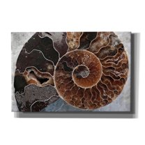 Epic Graffiti 'Ammonite Spiral' by Elena Ray, Canvas Wall Art, 60"x40"