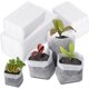 thumbnail image 2 of Bolsas de vivero de plantas no tejidas Macetas de plántulas de tela Contenedor Bolsa de plántulas de cultivo de plantas degradables Bolsas de arranque de semillas biodegradables para plantar flor, 2 of 5