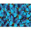Wdftyju Pintura de diamante 5D DIY mariposa azul taladro redondo completo cuadro de diamantes de imitación Wdftyju 6ek5hy4wk7ku0px2