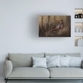 thumbnail image 2 of Trademark Fine Art Wilhelm Goebel Pheasant In The Grass Canvas Wall Art - 12x19, 2 of 5