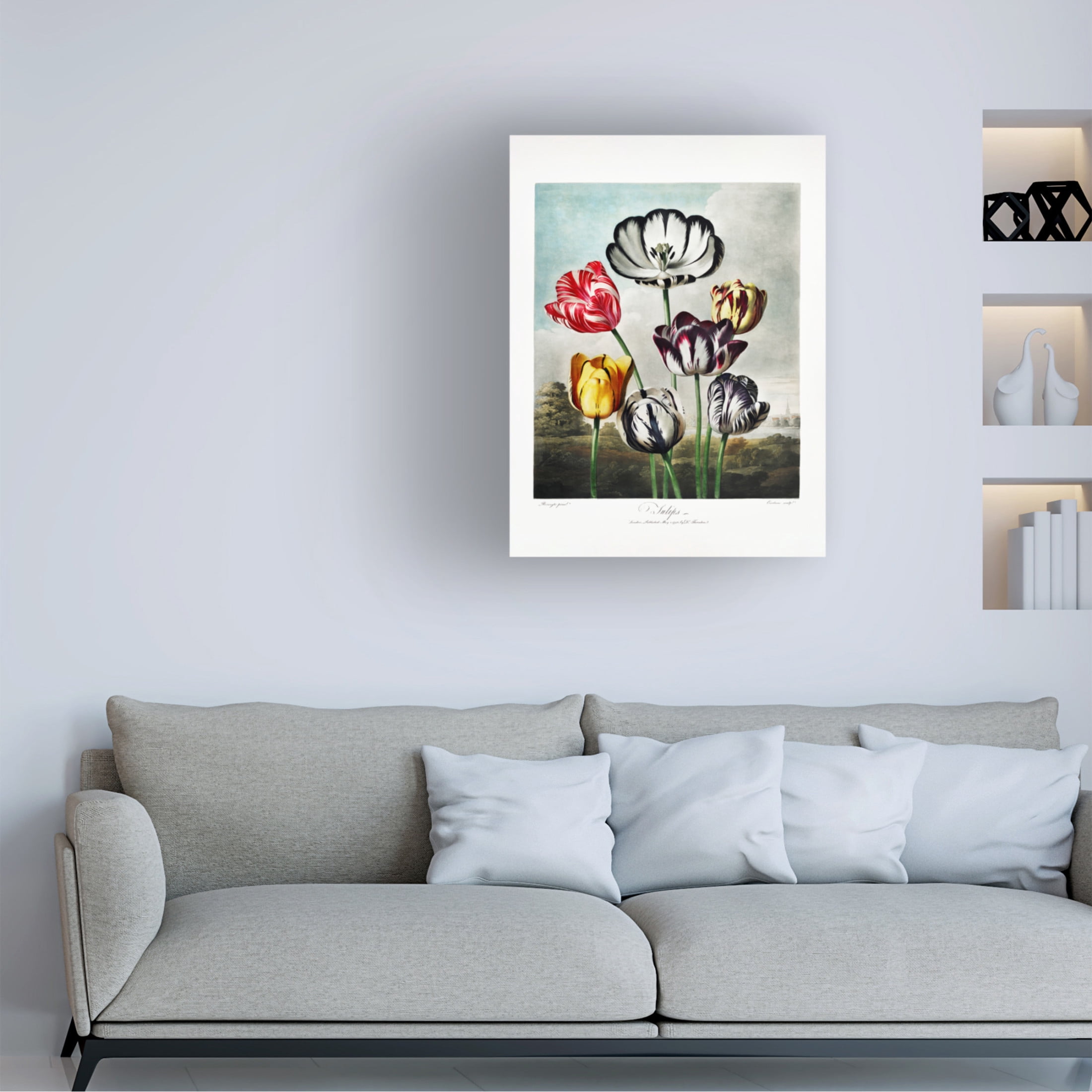 Trademark Fine Art Pictufy  Tulips from The Temple of Flora 1807 Canvas Wall Art