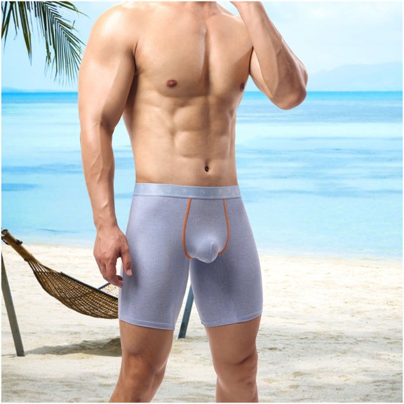 Men's Breathable Boxer Briefs - Modal Cotton Blend, Pouch Support, Anti-Chafing, Soft Stretch, Stylish Blue, Size L, All-Day Comfort