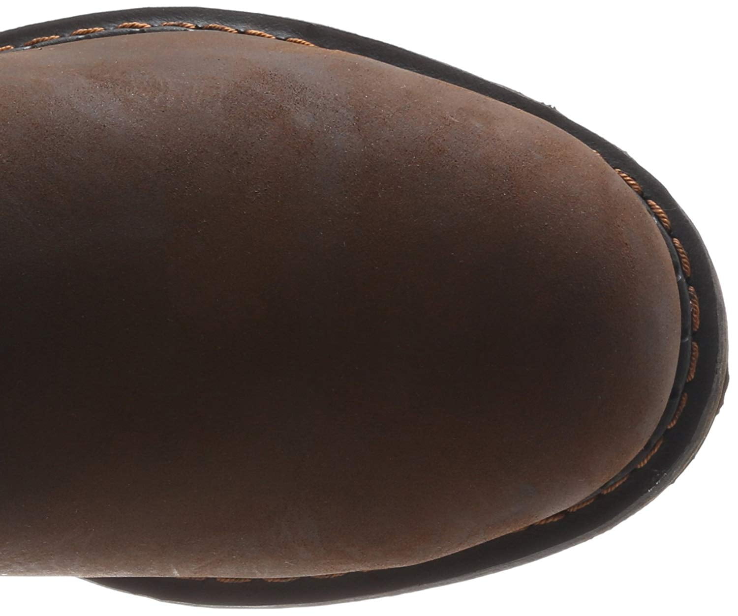 irish setter 83901