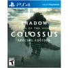 Shadow of the Colossus Special Edition, Sony, PlayStation 4, 711719518303